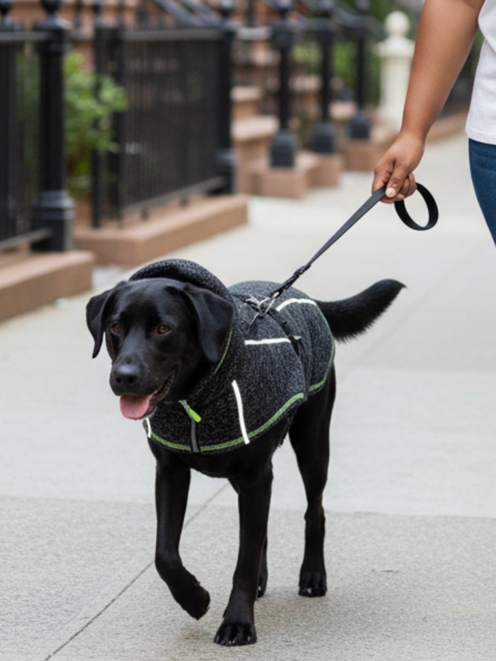 Cyeollo Fleece Reflective Dog Coat - Gray with Green Trim Waterproof Jacket